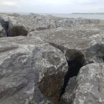 Wpisy rzadkie, ale z serca