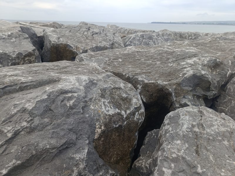 Wpisy rzadkie, ale z serca